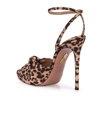 Shop Aquazzura Leopard Print Sandals In Brown