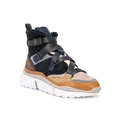 Shop Chloé Sonnie Sneakers In Multicolor