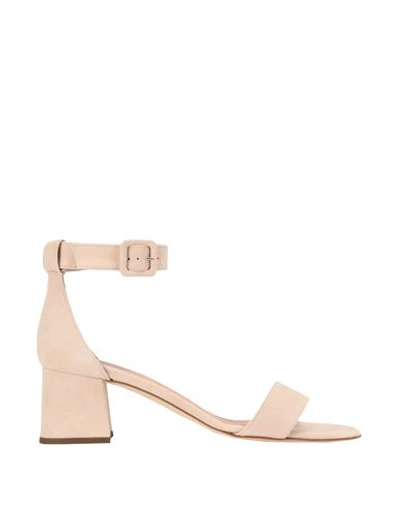Shop 8 By Yoox Sandals In Light Pink