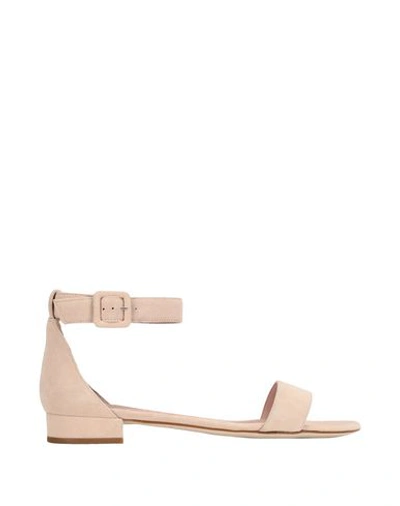 Shop 8 By Yoox Sandals In Light Pink