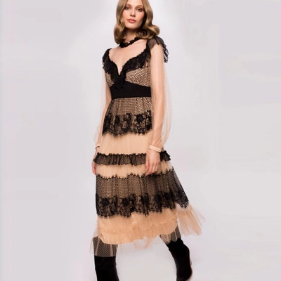 Shop Nissa Lace Applique Dress