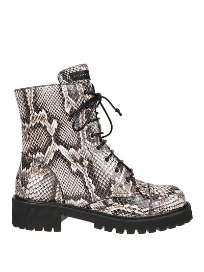 Shop Giuseppe Zanotti Thora Reptile Print Leather Combat Boots In Animal Print