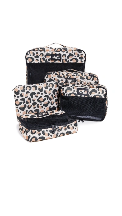 Shop Calpak Packing Cubes In Leopard