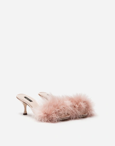 Shop Dolce & Gabbana Satin Sliders With Marabou Edgings In Pink