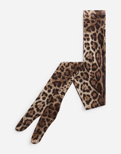 Shop Dolce & Gabbana Leopard Print Tights In Tulle In Animal Print