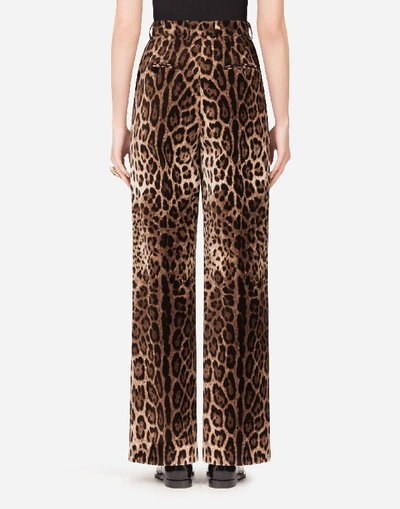 Shop Dolce & Gabbana Velvet Leopard Print Flared Pants