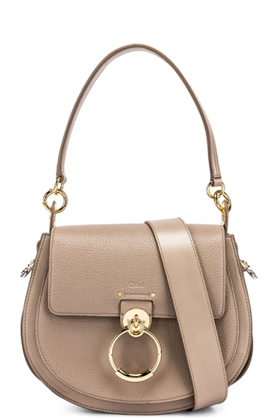 Shop Chloé Chloe Large Tess Grained Leather Bag In Gray In Motty Grey