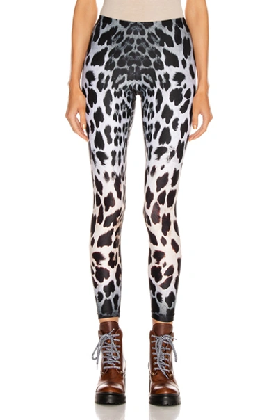 Shop R13 Leopard Leggings In Animal Print,white In Faded Leopard