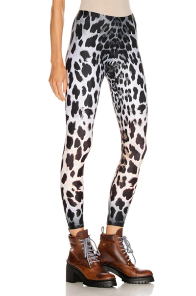 Shop R13 Leopard Leggings In Animal Print,white In Faded Leopard