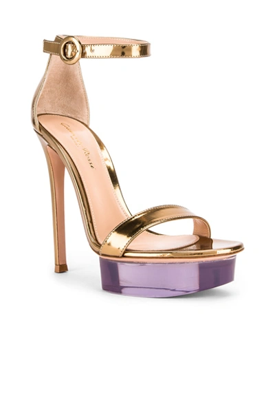 Shop Gianvito Rossi Ankle Strap Platform Heels