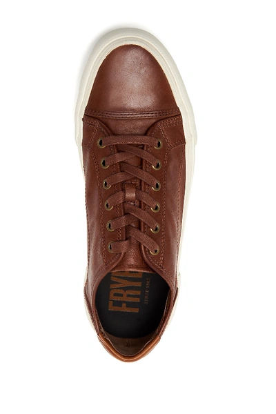 Shop Frye Ludlow Leather Sneaker In Cognac
