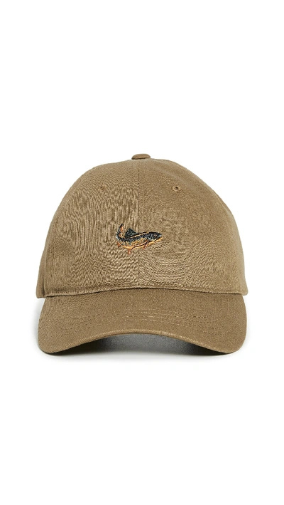 Shop Filson Twill Low-profile Cap In Earth