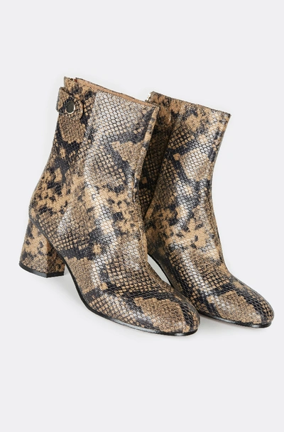 Shop Joie Ramet Python Print Bootie In Camel