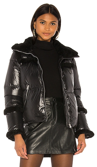 Mackage Miya Shearling trim Puffer Jacket In Black ModeSens