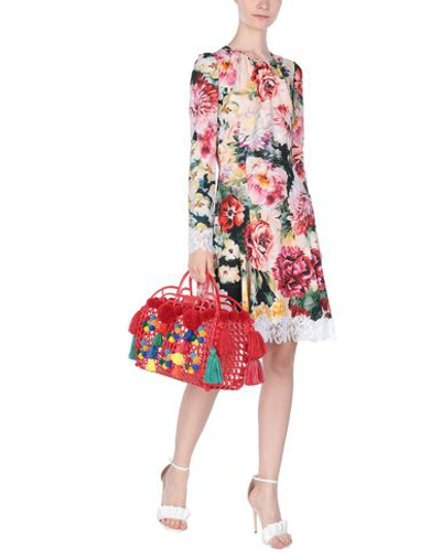 Shop Dolce & Gabbana Handbags In Red