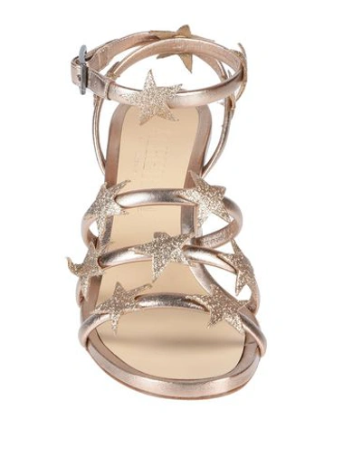 Shop Alberto Gozzi Sandals In Platinum