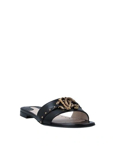 Shop Roberto Cavalli Sandals In Black