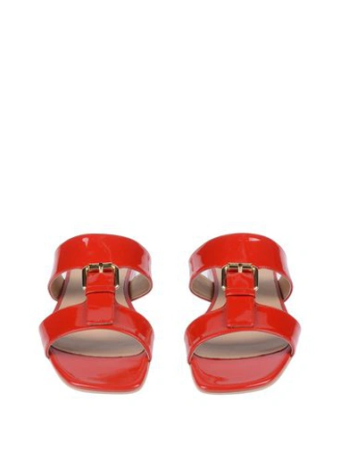 Shop Sergio Rossi Woman Sandals Red Size 5 Soft Leather