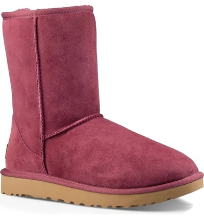 Shop Ugg Classic Ii Genuine Shearling Lined Short Boot In Bougainvillea Suede