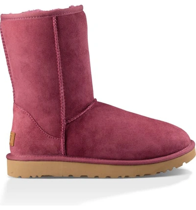 Shop Ugg Classic Ii Genuine Shearling Lined Short Boot In Bougainvillea Suede