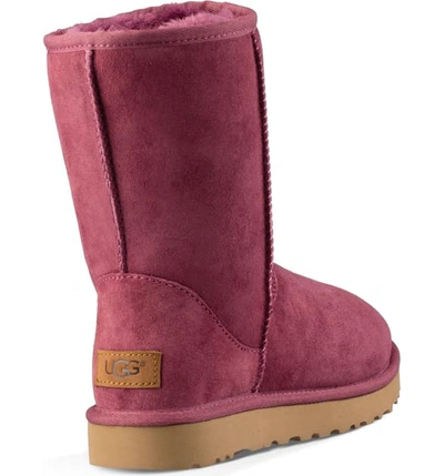 Shop Ugg Classic Ii Genuine Shearling Lined Short Boot In Bougainvillea Suede