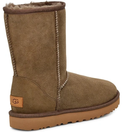 Shop Ugg Classic Ii Genuine Shearling Lined Short Boot In Eucalyptus Spray Suede