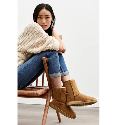 Shop Ugg Classic Ii Genuine Shearling Lined Short Boot In Eucalyptus Spray Suede