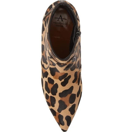 Shop Aquatalia Marilisa Weatherproof Genuine Calf Hair Bootie In Leopard