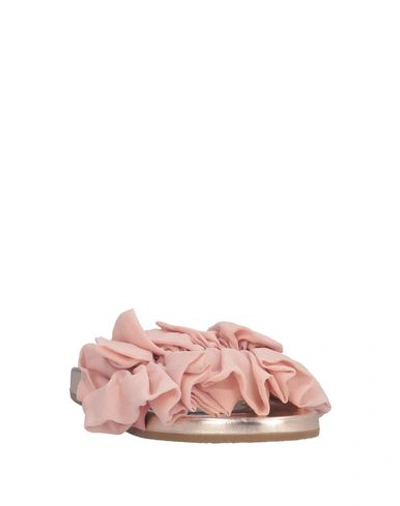 Shop Charlotte Olympia Sandals In Light Pink