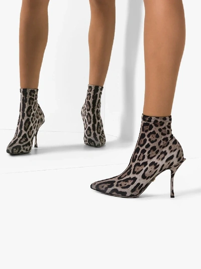 Shop Dolce & Gabbana Brown 90 Leopard Print Sock Ankle Boots