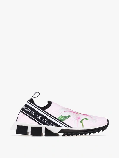 Shop Dolce & Gabbana Pink Sorrento Floral Print Sneakers