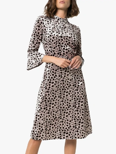 Shop Hvn Ashley Leopard Print Velvet Midi Dress In Black