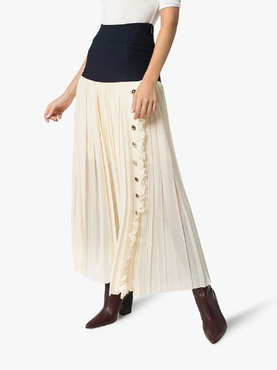Shop Chloé Pleated Maxi Skirt In Neutrals