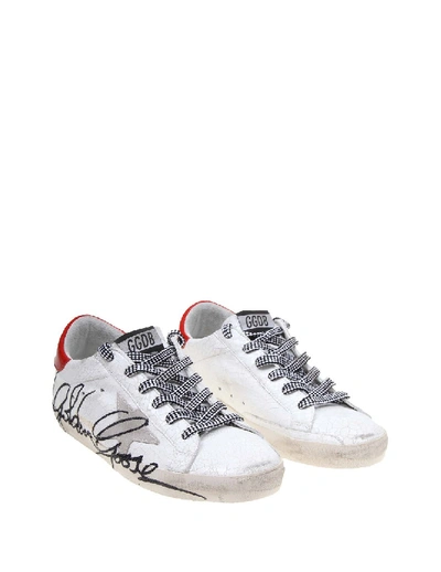 Shop Golden Goose Superstar Sneakers In Bright Color White Leather