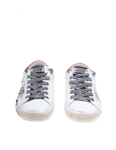 Shop Golden Goose Superstar Sneakers In Bright Color White Leather
