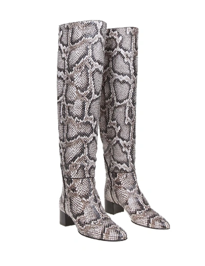 Shop Giuseppe Zanotti Doreen Leather Boot With Python Print In Grey