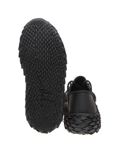 Shop Giuseppe Zanotti Design Sneakers Urchin Leather Black