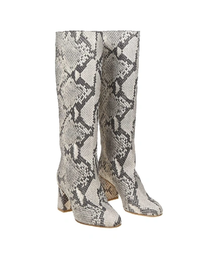Shop Red Valentino Leather Boots With Pythoned Print In Grey