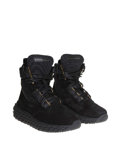 Shop Giuseppe Zanotti Urchin Sneakers In Black Suede Suede