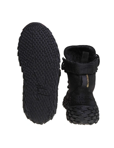 Shop Giuseppe Zanotti Urchin Sneakers In Black Suede Suede