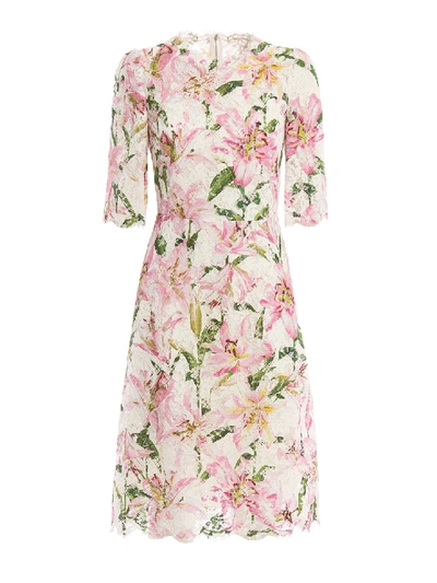 Shop Dolce & Gabbana Lilium Print Lace Dress In Neutrals