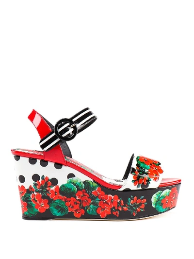 Shop Dolce & Gabbana Portofino Printed Wedges In Black