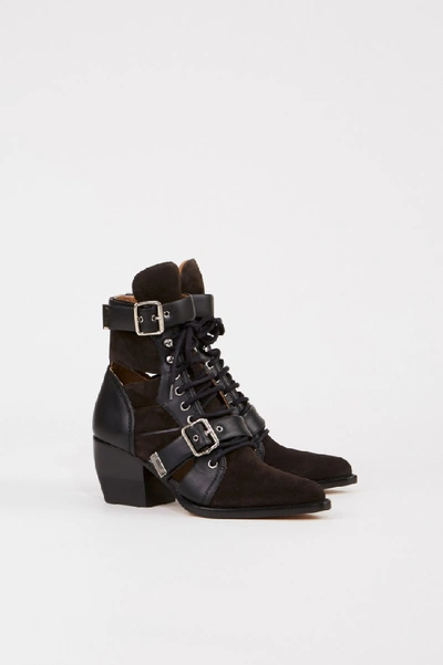 Shop Chloé Suede Leather Ankle Boots 'rylee' Black/brown