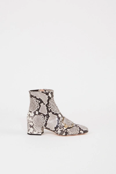 Bally Ankle Boot 'maggye' In Snake Look Grey/multi In Grey