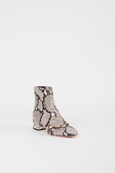 Bally Ankle Boot 'maggye' In Snake Look Grey/multi In Grey