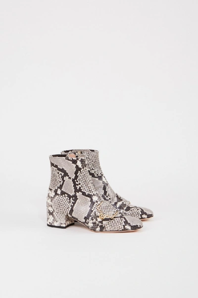 Bally Ankle Boot 'maggye' In Snake Look Grey/multi In Grey