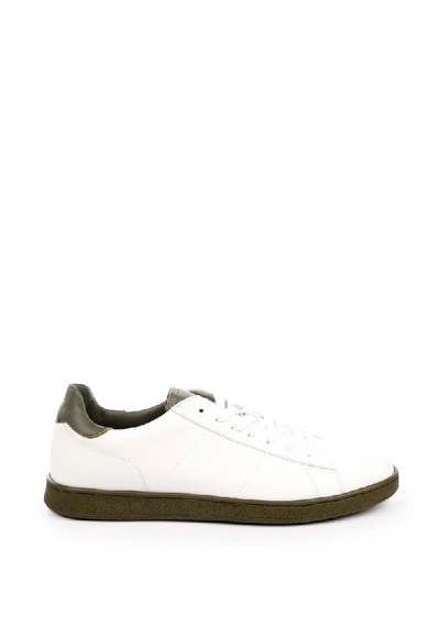 Shop Rov Leather Sneaker Bcs123 In White