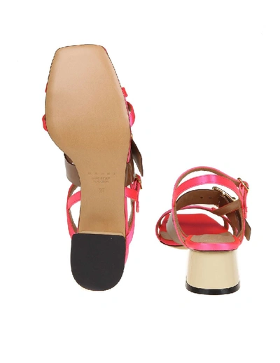 Shop Marni Sandalo In Satin Color Fuchsia And Brown