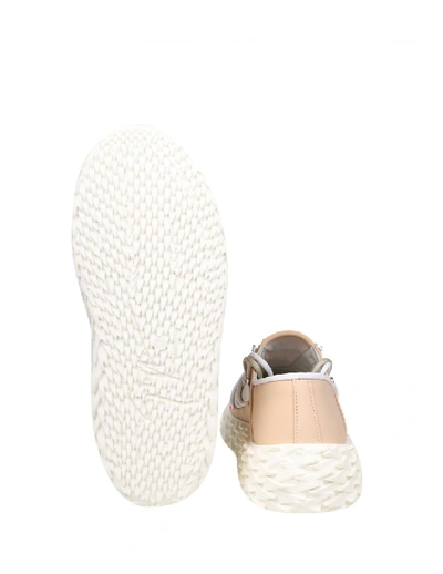 Shop Giuseppe Zanotti Design Sneakers Urchin In Rubberized Leather In White