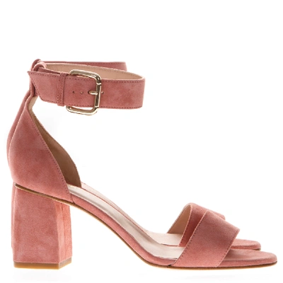 Shop Red Valentino 60mm Chunky Heel Rose Suede Sandals In Brown